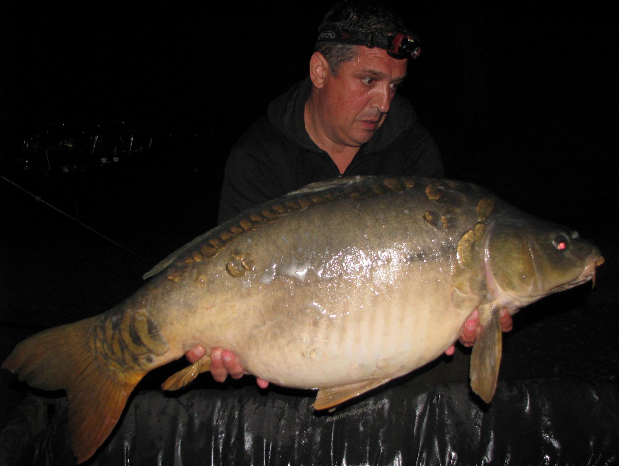 Pelagicevo Jezero - final iunie 2015 - img2180.JPG